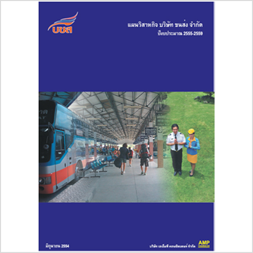 Advisory Service on the Formulation of TCL’s Corporate Plan
